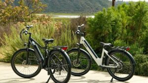 Zwei E-Bikes stehen nebeneinander im Freien vor einer natürlichen Landschaft mit Pflanzen und Hügeln.